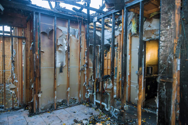 Professional Smoke Damage Removal technician working in Wailea, HI